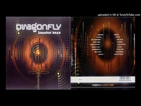 Zodiac Youth - Tattoo