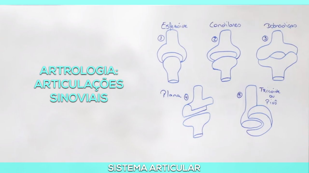 Artrologia: Articulações Sinoviais