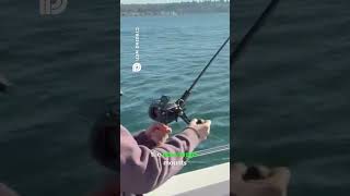 Best Fishing Boat Ever – Cruiser Meets Angler’s Dream #rangertug #r25 #boatreview #boatwalkthrough