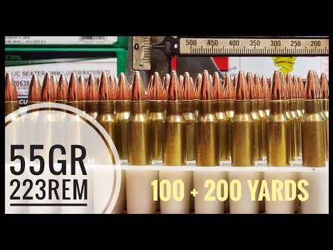 Shooting A Howa 1500 In 223 Remington With 55gr FMJs At 200 Yards After Getting Sighted In, Kinda