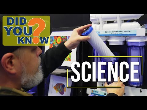 Do You Really Need RO/DI? 15 Science Tips on Why Reefers Use Reverse Osmosis for Saltwater Aquariums
