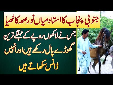South Punjab Ke Ustad Noor Samad Kathia Jis Ne Expensive Horses Paal Rakhe Or Unhe Dance Sikhate Ha