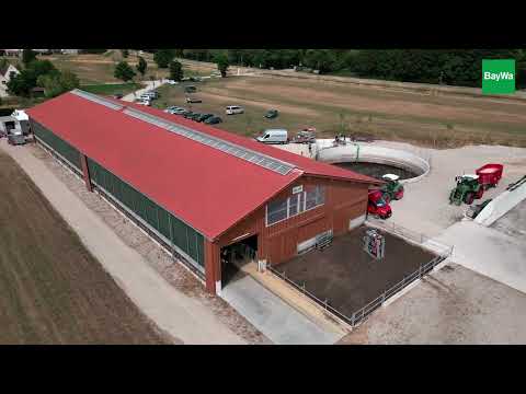 Making cattle farming sustainable: Combining animal welfare and profitability