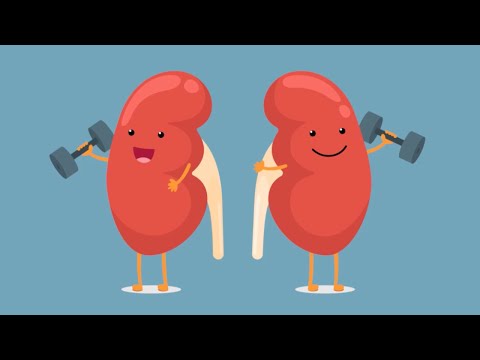 Przeszczepy nerek - fakty i mity. Sprawdzam! | Medonet