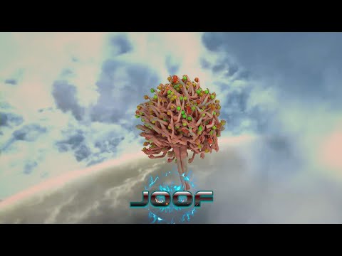 Fher Vizzuett - Blessed (Original Mix) [JOOF Recordings]