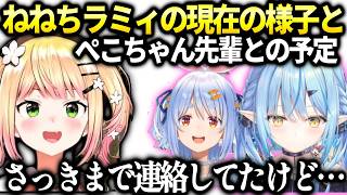 ねねちラミィが元気になってくれて嬉しい話とぺこらとの話【桃鈴ねね/ホロライブ】