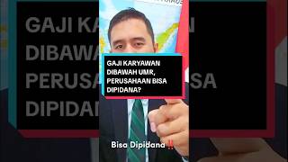 Download lagu Gaji Karyawan Dibawah UMR, Perusahaan Bisa Dipidana? #advokat #lawyer #pengacara #gaji #upah #umr mp3