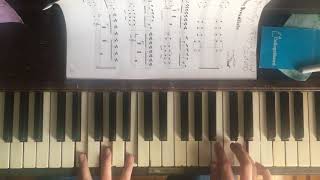 “Little Fang” - Avey Tare’s Slasher Flicks (Piano Cover)