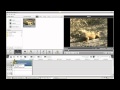 AVS Video Editor Help Tutorial Previewing And Trimming
