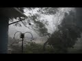 Wind Too Much For The Spruce Tree Cedar Rapids Derecho Aug 10 2020