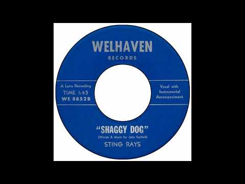 Sting Rays - Shaggy Dog
