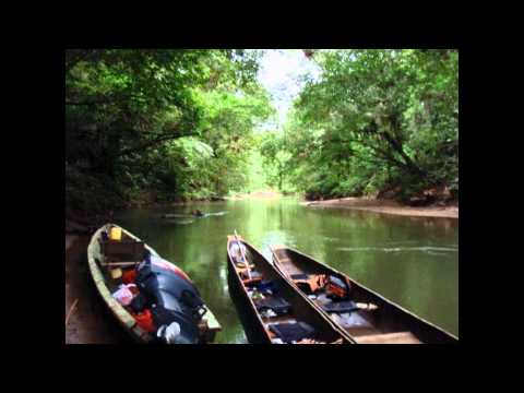 DANDY JACK - EL GIGOLO' ANDINO