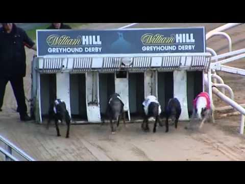 William Hill Greyhound Derby 2015 Round 1 Heats 11 - 22