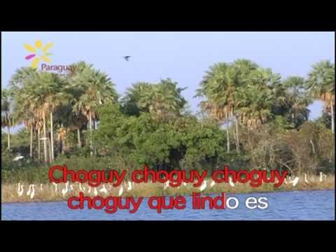 Pajaro Choguy - Paraguay Purahei
