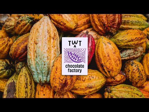 Inside The Whole Truth Chocolate Factory | Bean to Bar Chocolate | Portion Controlled | 100% Clean