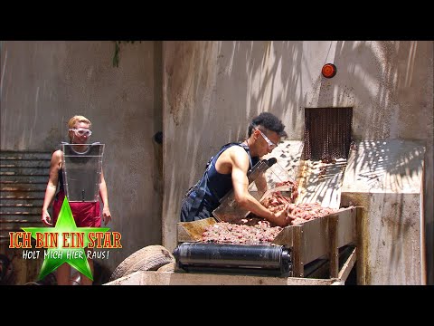 Dschungelcamp 2020 | Dschungelprüfung: Würg-Stoffcenter - Müllverwertung im Camp