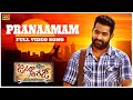 Pranaamam Pranaamam 4k Full Videosong Nature Lover Editing Nature Janathagaragemovie Ntr 4k