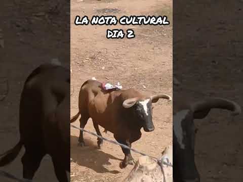 LA NOTA CULTURAL PRESENTE EN LA SEGUNDA TARDE TOROS en la monumental de ARJONA BOLÍVAR