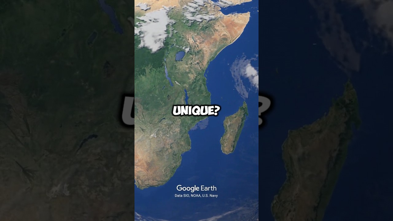 Why is the Island of Madagascar so unique? #GeographyFacts