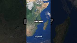 Download lagu Why is the Island of Madagascar so unique? #GeographyFacts mp3 Download lagu Why is the Island of Madagascar so unique? #GeographyFacts mp3