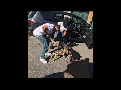 Loochie Money - Jail Freestyle [CMG HIGHRISK] Free All Da Sphillerz