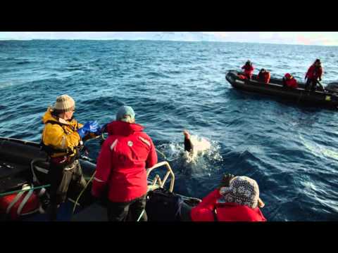 2041 South Pole expedition 2015