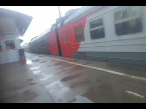 Электричка поселок до купчино. Электричка поселок до купчино. 100 км купчино электричка. Станция метро купчино. Электричка комфорт.