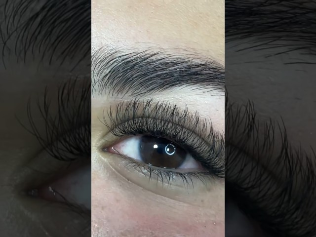 Vídeo relacionado con Aomig Pestañas Postizas, 570 Pcs Kit Profesional de Pestañas Pelo a Pelo DIY, Longitudes 8-16mm, Material Ecológico y Herramientas Incluidas para un Look Natural, A02