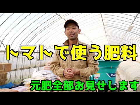 2022年のトマトにはイラクサの肥料を使用