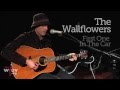 The Wallflowers - "First One in the Car" (Live at WFUV)