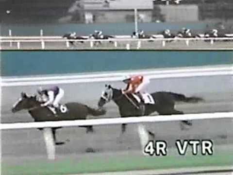 競馬 450万下トロットサンダー