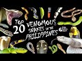 AHAS NA PUMAPATAY Top 20 Venomous Snakes Native To Philippines