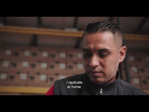 File Storage | Testimoniales Trabajadores | Fresh Cut Films