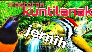 Download lagu suara cungkok dan pelatuk bawang,masteran ampuh muray batu dan kacer mp3
