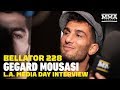 Gegard Mousasi Might Compete at Welterweight in Near Future - MMA Fighting