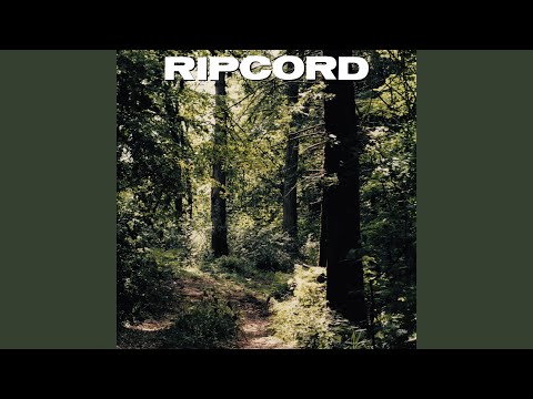 Fools To Persist - Ripcord