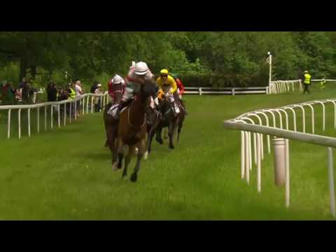 2017.06.17 Svenskt Grand National - Al Bustan