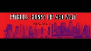 hurry up and wait-Pitbull {explicit}