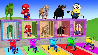 Long Slide Game With Elephant Gorilla Buffalo Hippopotamus Tiger - 3d Animal Game - Funny 3d Animals