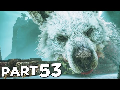 vp-g13