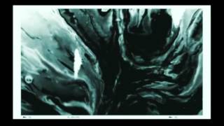 Vox Humana-Deerhunter unoffical video