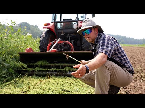 The Details on Growing Mustard for Weed Control with Charlie Gray