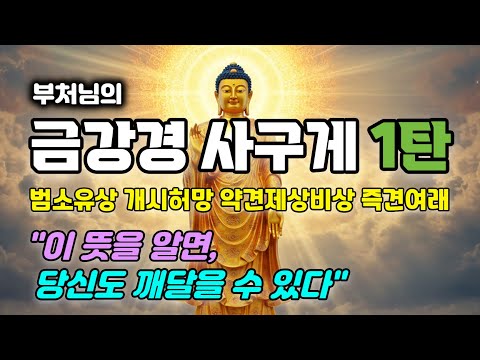 금강경 사구게 1탄. 범소유상 개시허망 약견제상비상 즉견여래 상세한 해설. 여리실견분. 부처님 가르침의 핵심이 담긴 금강반야바라밀다경. 불교의 진수가 담긴 게송
