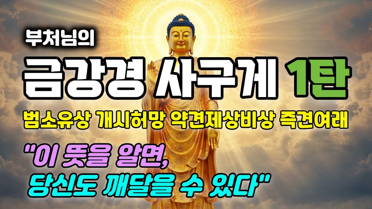 금강경 사구게 1탄. 범소유상 개시허망 약견제상비상 즉견여래 상세한 해설. 여리실견분. 부처님 가르침의 핵심이 담긴 금강반야바라밀다경. 불교의 진수가 담긴 게송