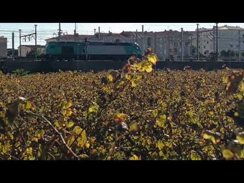 335 Aislada por Sant Vicenç de Calders 