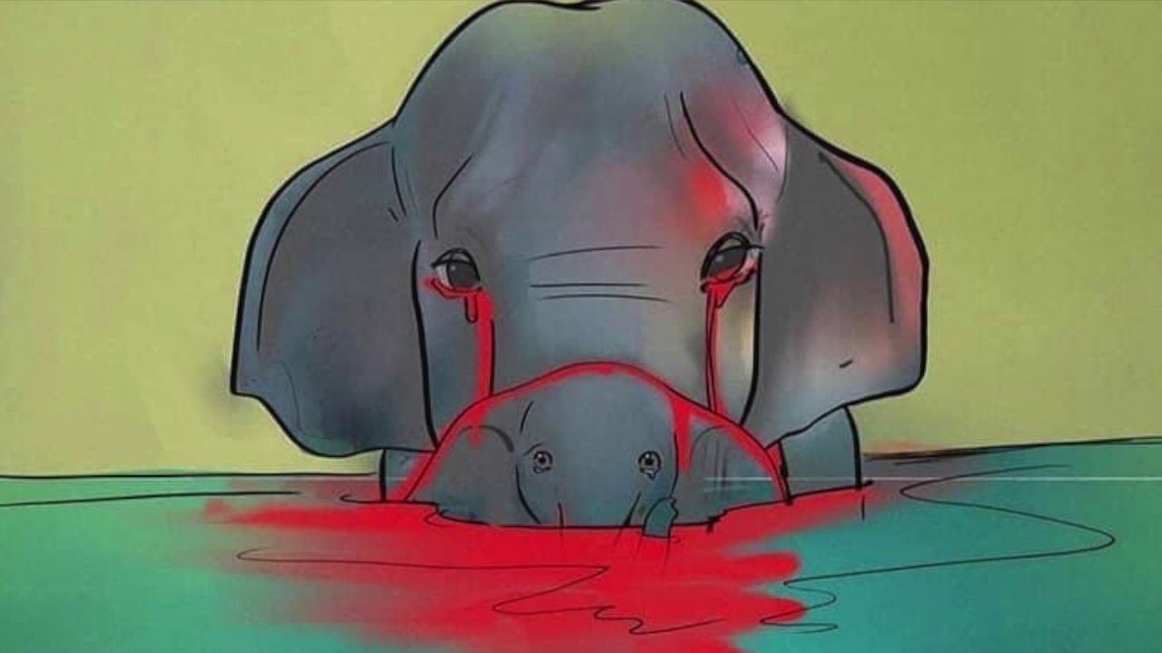 Watch Now Più conosco gli uomini piu amo gli animali testo e voce Massimo Previtero Regia Emanuele Di Leo Più conosco gli uomini piu amo gli animali testo e voce Massimo Previtero Regia Emanuele Di Leo