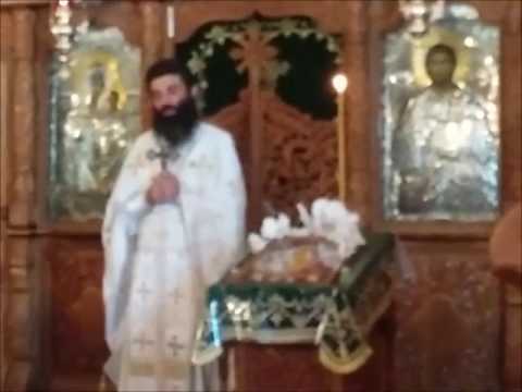 20170723 NICOLAE BALASOIU   DUMINICA A 7 A DUPA RUSALII – VINDECAREA A DOI ORBI SI A UNUI MUT DIN CA