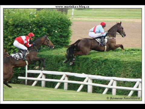 118. Velká Pardubická a kůň jménem Klip