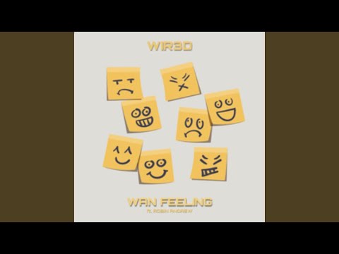 Wan Feeling (feat. Robin Andrew)