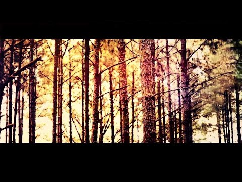 Kwala "Luminous Things" EP Video Teaser (Finest Ego | Luminous Things - Project: Mooncircle, 2012)